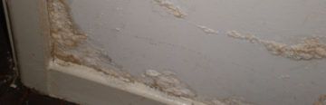 Is rising damp a problem for you?